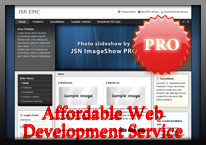 Affordable web development..png